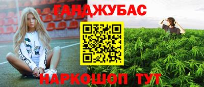 индика Гусиноозёрск