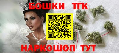 индика Гусиноозёрск