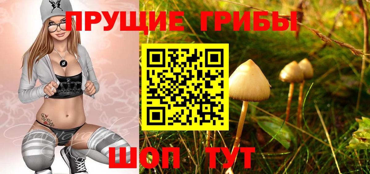 Мариинск  Галлюциногенные грибы MAGIC MUSHROOMS  Галлюциногенные грибы ЛСД  купить   Вход с VPN 