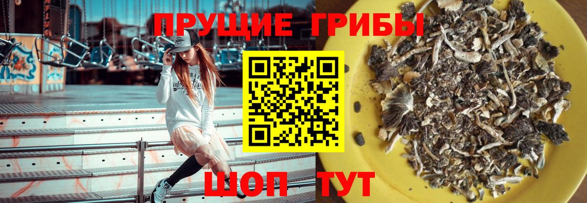 Галлюциногенные грибы Cubensis Мариинск